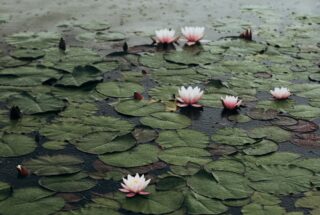 Anna kovalova o Up A9 Wwj1 M unsplash horizontal