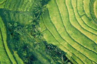 Cap Gen Imagery Press Sustainability 05 horizontal